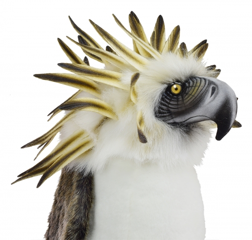 Philippinischer Adler 50 cm (Affenadler)